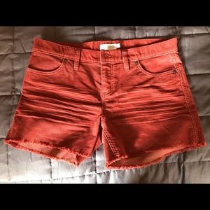 Carve Oahu shorts size 4 NWOT